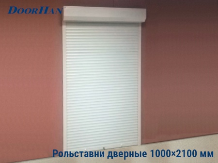 Рольставни на двери 1000×2100 мм в Хабаровске от 34369 руб.