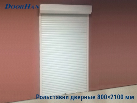 Рольставни на двери 800×2100 мм в Хабаровске от 30880 руб.